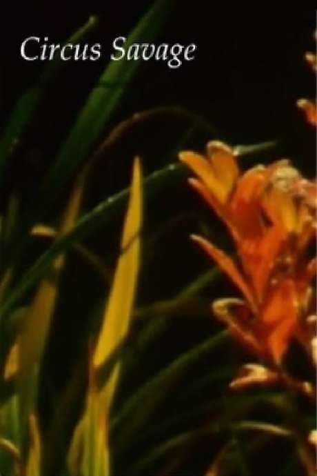 Described as a cinematic stream of consciousness, the film weaves together sixty years of Lawrence Jordan’s out‑take footage and found sound into a flowing, non‑linear visual autobiography. Buried reels and spools are brought to light, guided by the Russian maxim “instead of canned plays, see a rose, hear a bomb.”